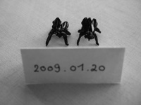 photo2008.01.06