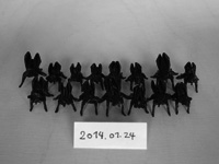 photo2014.01.24